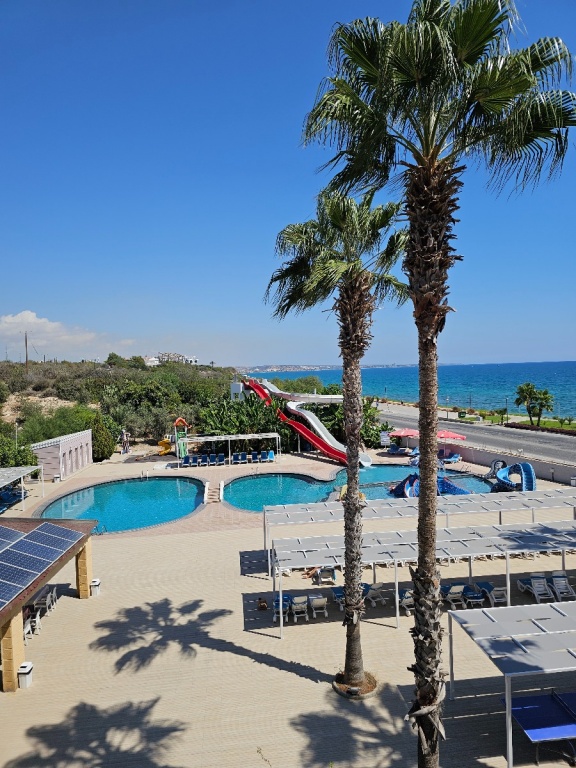 Pool Area and Garden