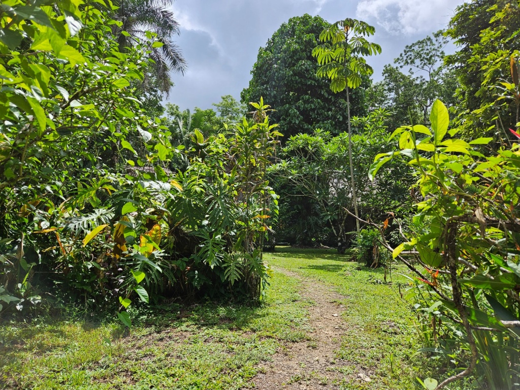 Garden Path