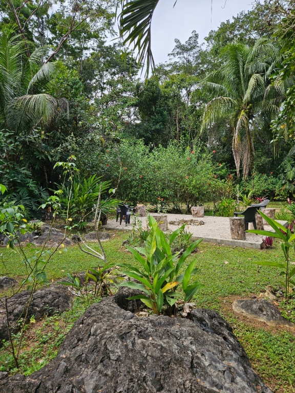 Fire Pit from Garden